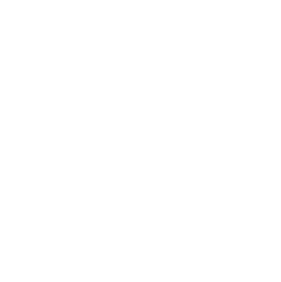 משק דן